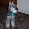 Annie