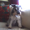 Maggie