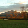 View 1 from Economy/Cottage Rooms