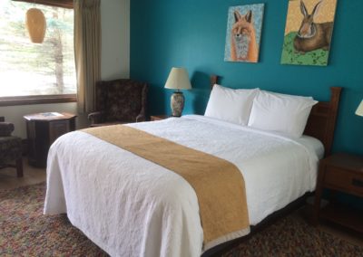 hotel room with queen bed