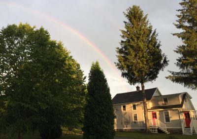 rainbow over the trees